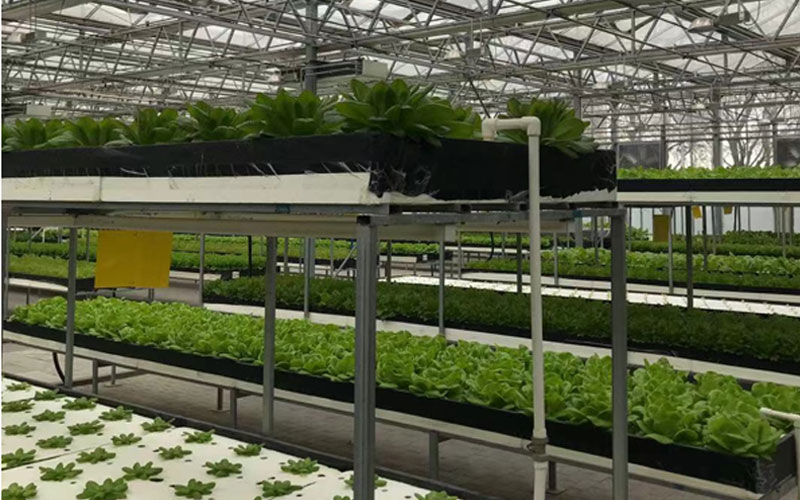 GA黄金甲(中国)最新官方网站